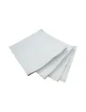 Servilleta 30x30  2 capas