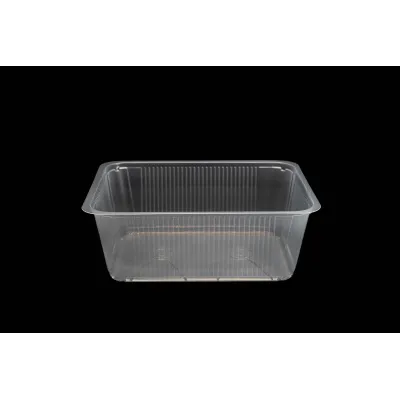 Bandeja termosellable 230x190 x 65