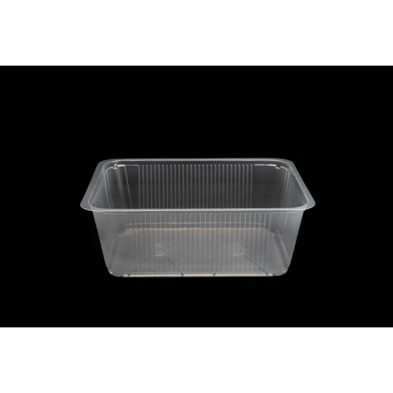 Bandeja termosellable 230x190 x 65 Bandeja termosellable 230x190 x 65