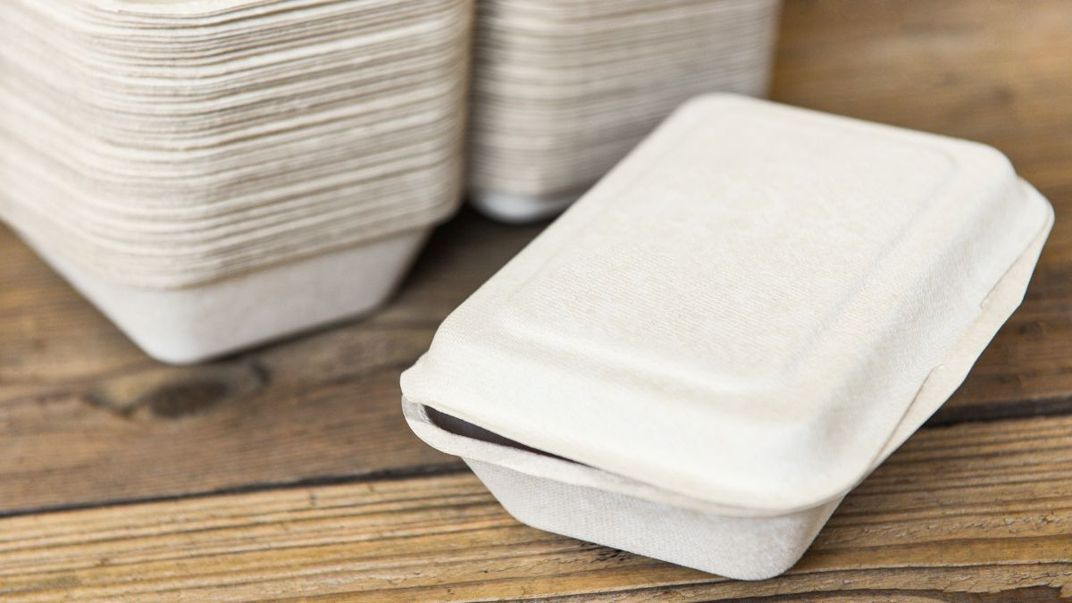 Envases para comida para llevar: guía completa para elegir el ideal
